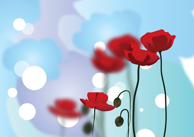 poppy-596569_640.jpg